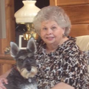 Meet your Posher, Kitty